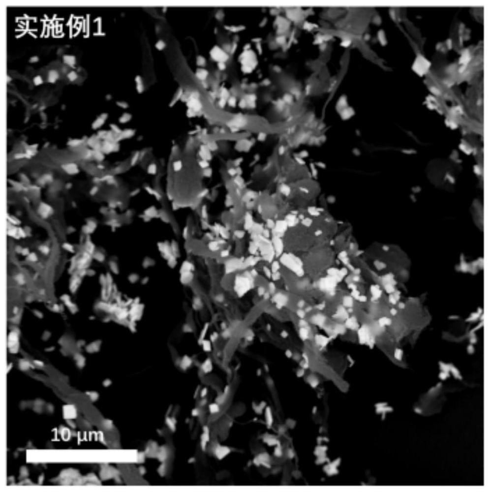 一种碳纳米管负载片状BiOCl催化剂及制备方法和应用与流程