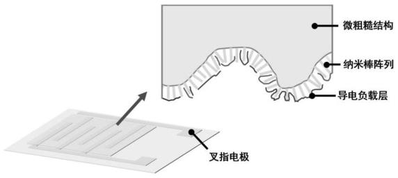 一种基于仿生分级微结构的柔性压力传感器的制备方法与流程