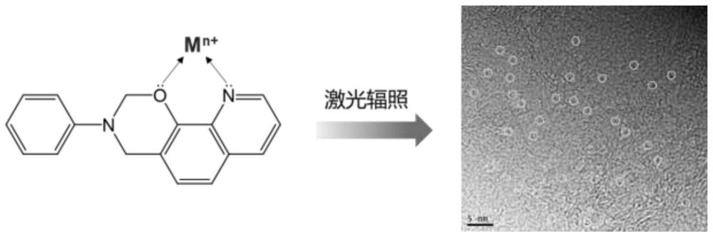 金属单原子负载三维石墨烯复合材料及其制法与应用