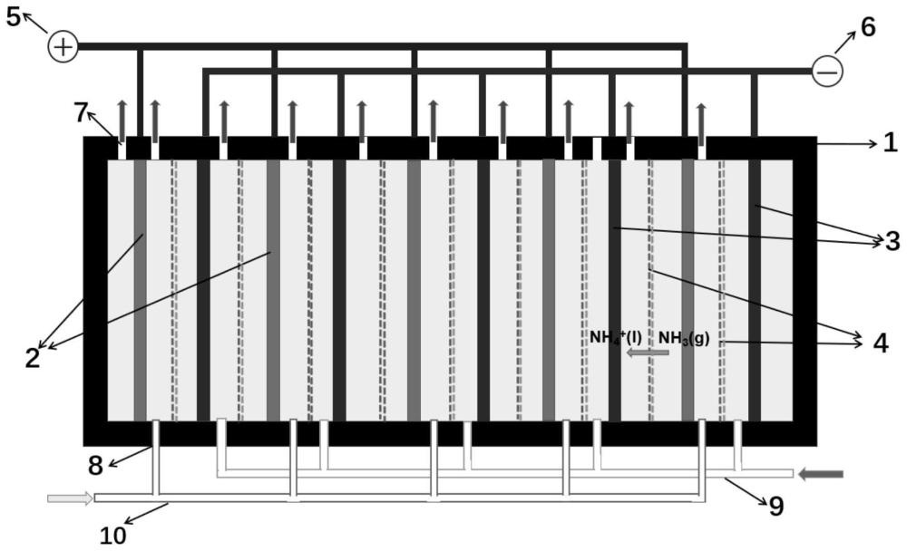 一种并联透过式堆叠电解槽装置及其在电催化硝酸根还原合成氨和同步回收氨中的应用