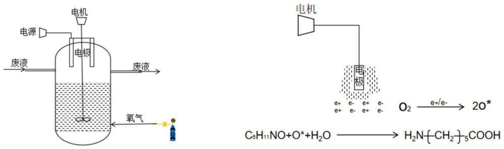 一种己内酰胺废液的回收利用方法及其应用与流程