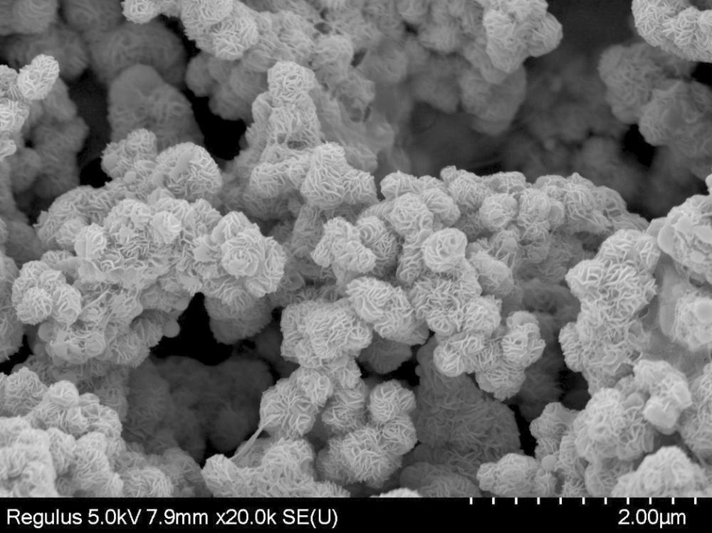 一种类银耳状MoS2基复合材料的制备方法及所得产品和应用