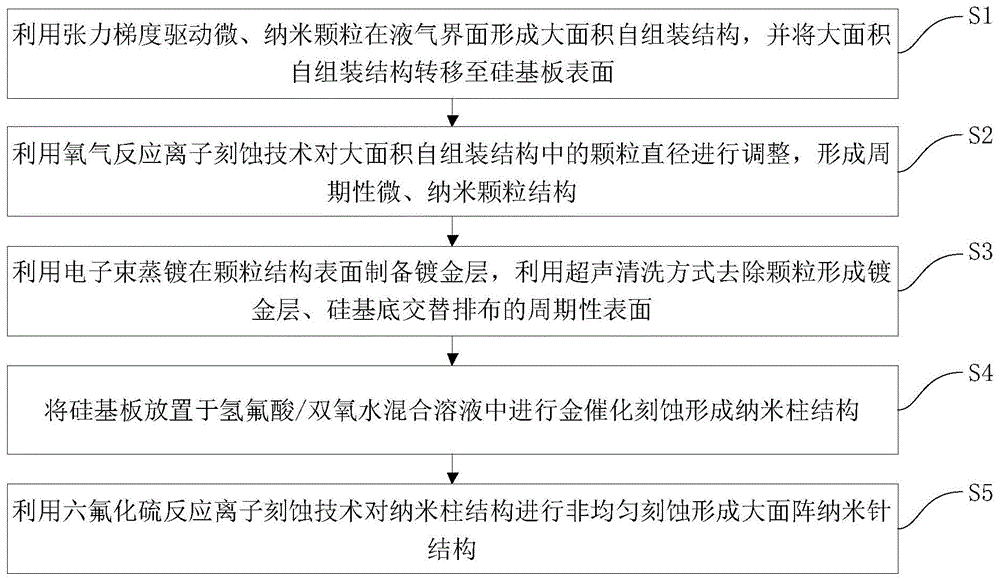 大面阵纳米针结构制备方法及装置