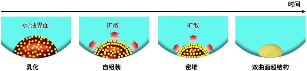 一种微米级双曲面组装体及其制备方法和应用