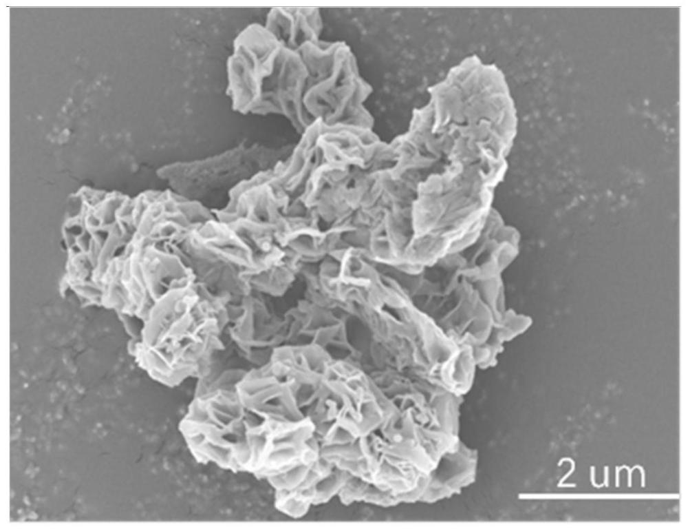 一种非金属生物相容性析氢电催化剂及其制备方法和应用