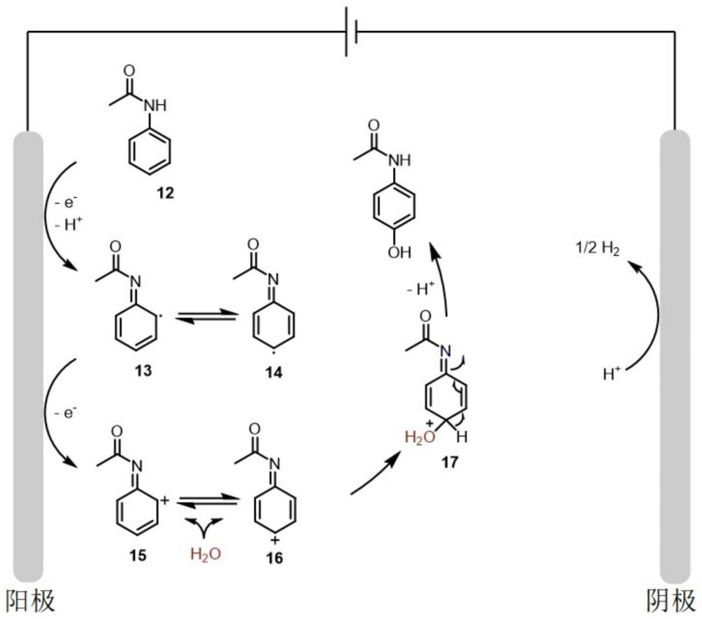 一种电化学合成对羟基苯基酰胺类化合物的方法及其应用与流程