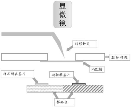 一种纳米材料的针尖-胶膜联合转移装置和方法