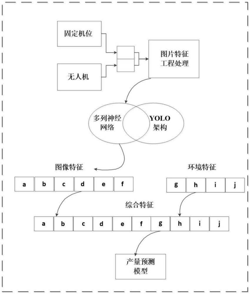 基于融合模型的智能桃花识别与果实产量预测方法与流程