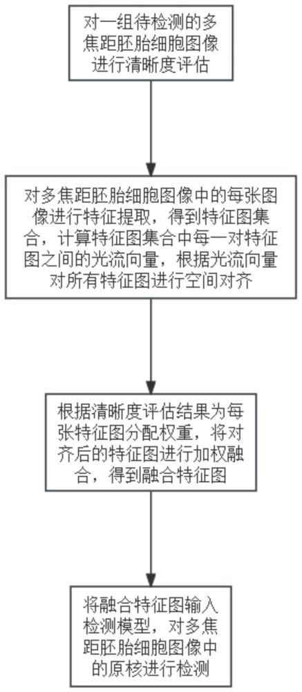 一种基于光流特征融合的多焦距胚胎细胞原核检测方法与流程