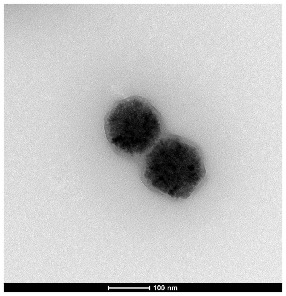 一种用于检测液体生物样本心脏标志物含量的弛豫核磁共振方法