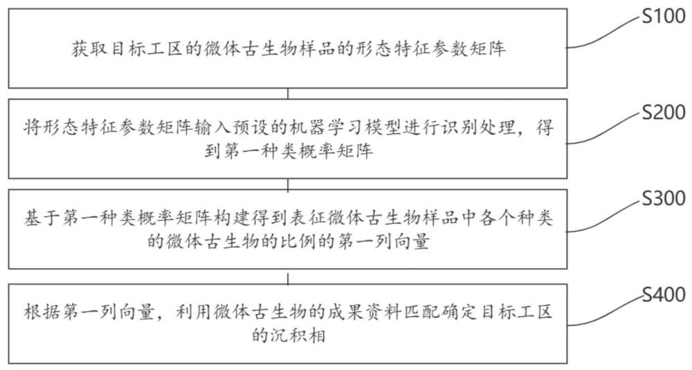 一种微体古生物沉积环境识别方法、装置、设备及介质与流程