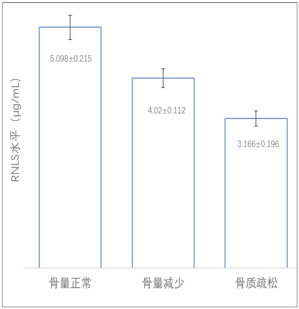 RNLS作为骨质疏松的生物标志物的应用的制作方法