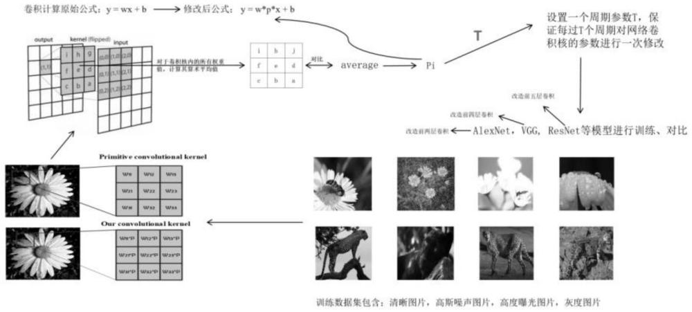 一种用于提高模糊生物图像识别准确度的卷积计算方法