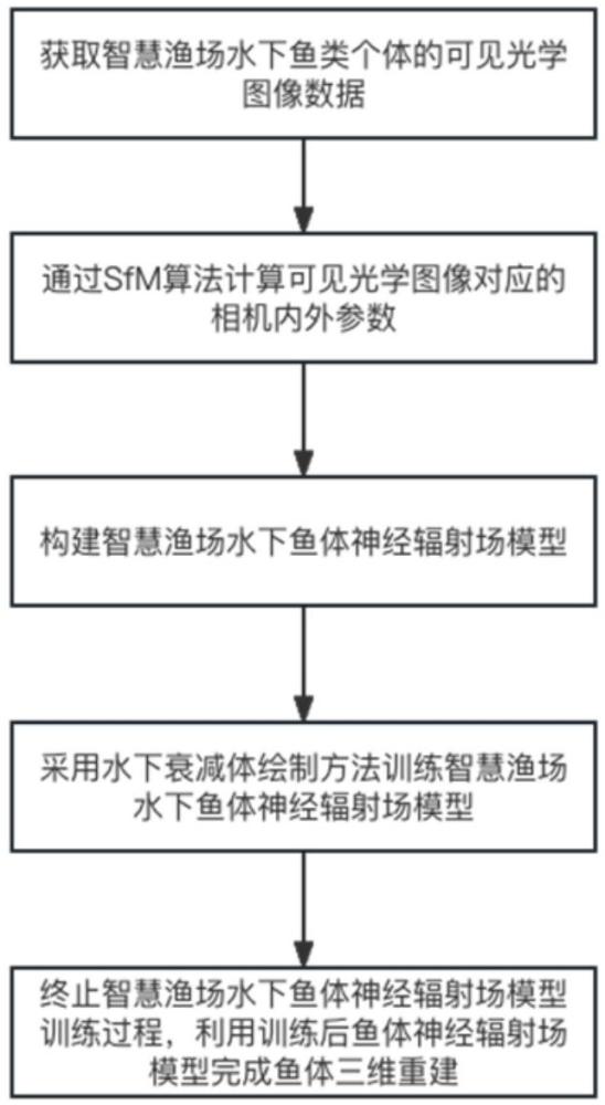 一种基于神经辐射场的智慧渔场水下鱼体三维重建方法