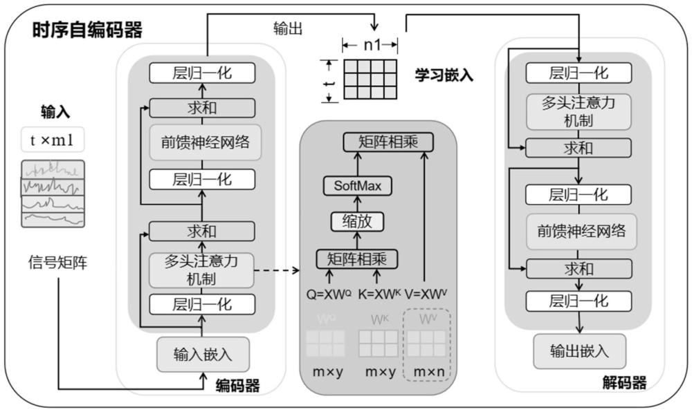 基于时序自编码器和CNN的脑结构类不平衡分类方法