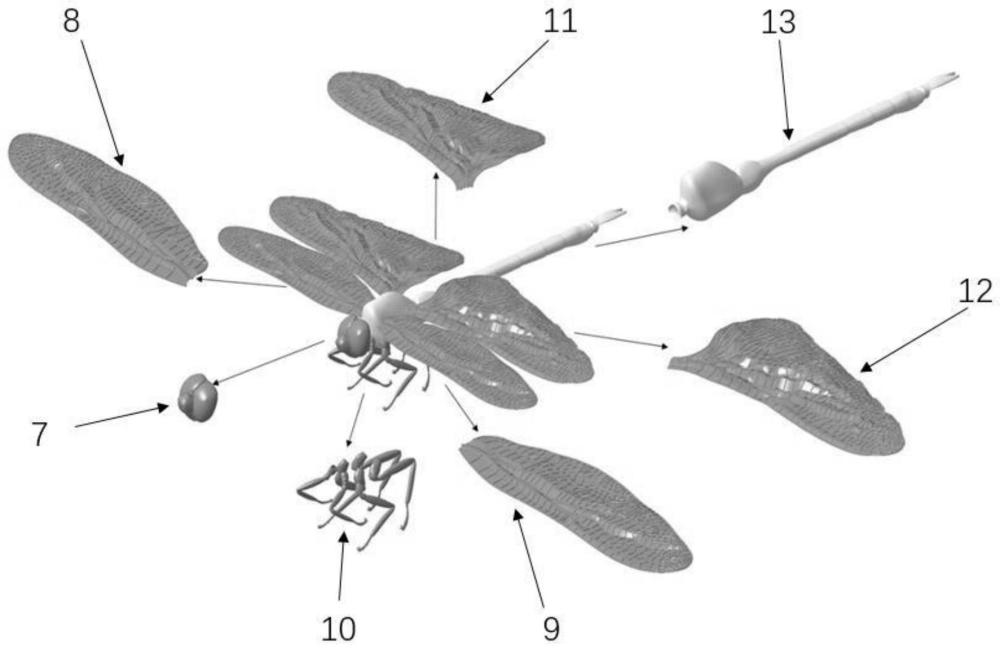 一种三维蜻蜓褶皱翼模型及其构建方法