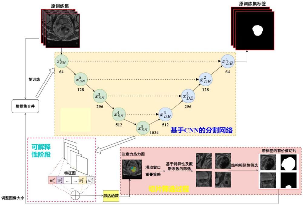 一种基于可解释性的直肠癌肿瘤分割方法