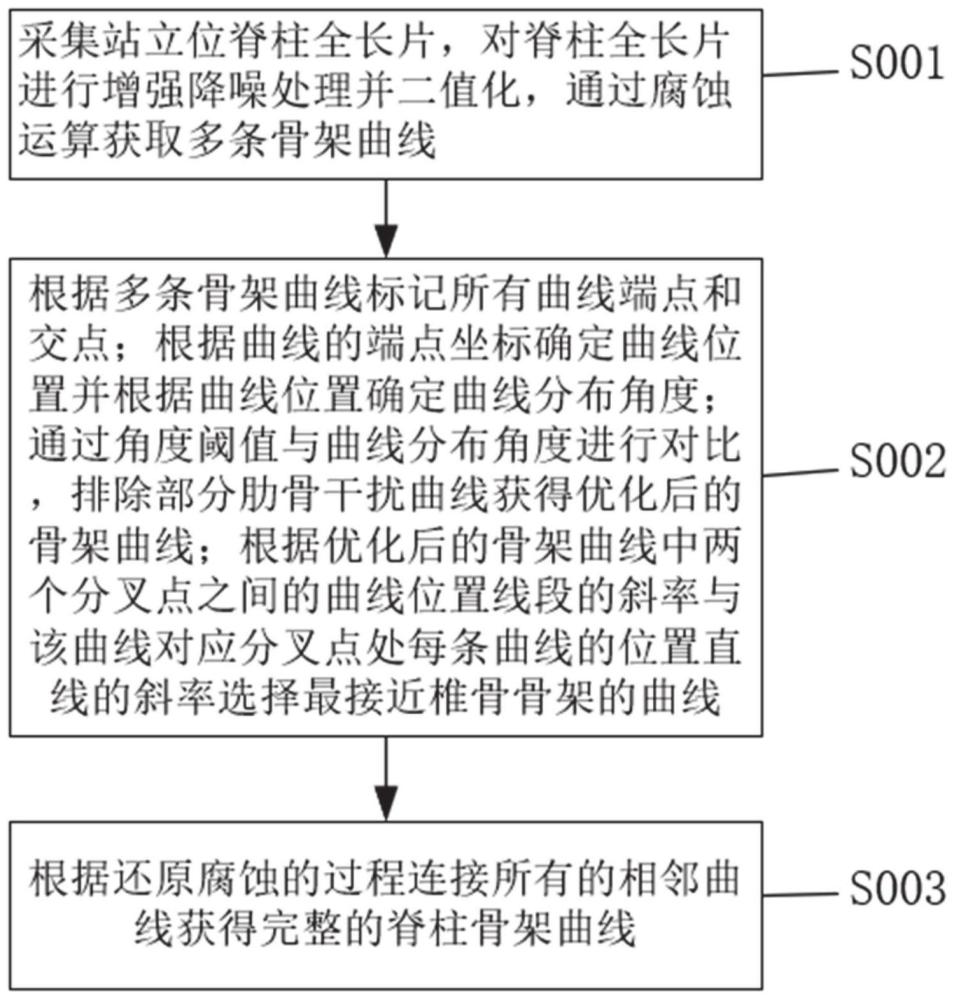 一种脊柱图像识别处理方法及系统