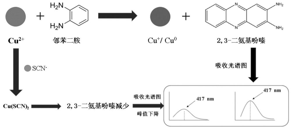 一种基于Cu2+-邻苯二胺紫外可见光谱分析的硫氰酸根检测方法