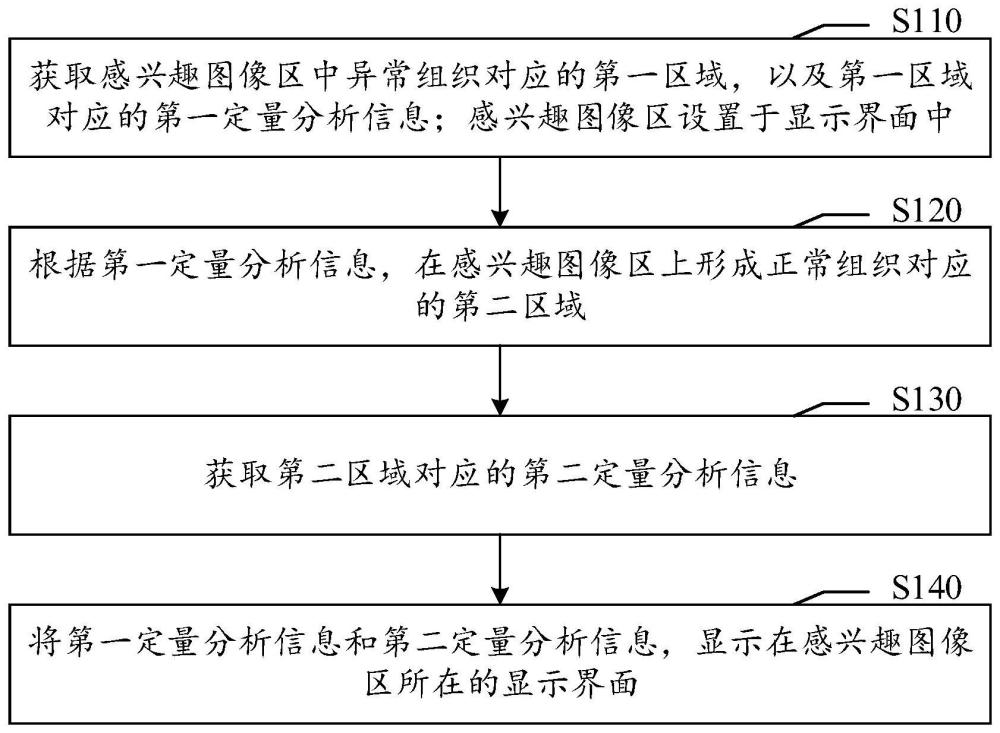 超声造影信息的显示方法、装置、存储介质及电子设备与流程