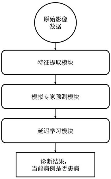 一种基于半监督和对比学习的肺部疾病分类方法及系统