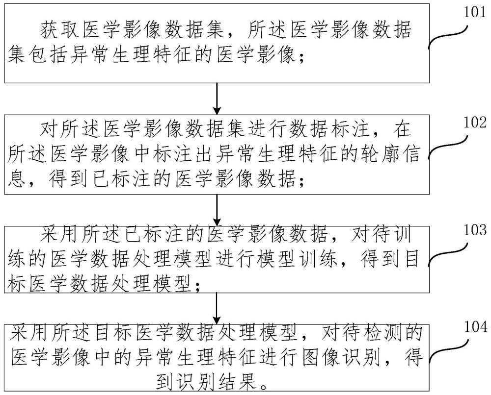 一种人体结构轮廓识别方法、装置和电子设备与流程