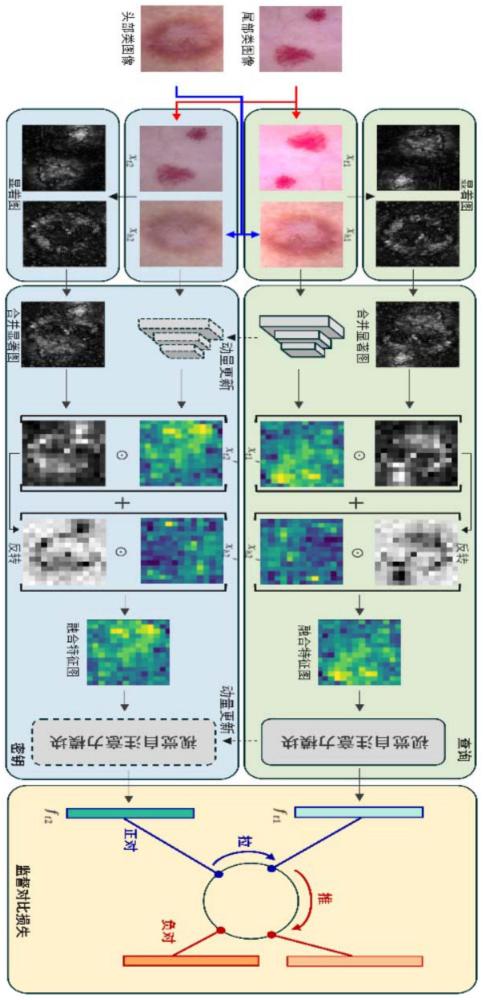 一种显著图引导的块融合用于长尾皮肤癌分类模型的方法