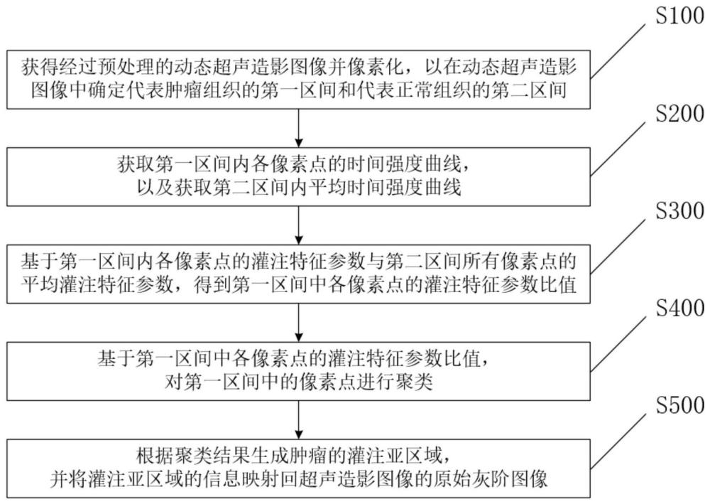 基于动态超声造影数据划分肿瘤灌注亚区域的方法及系统