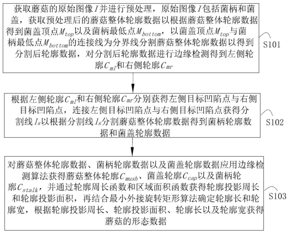 一种蘑菇形态数据获取方法、系统、存储介质及设备