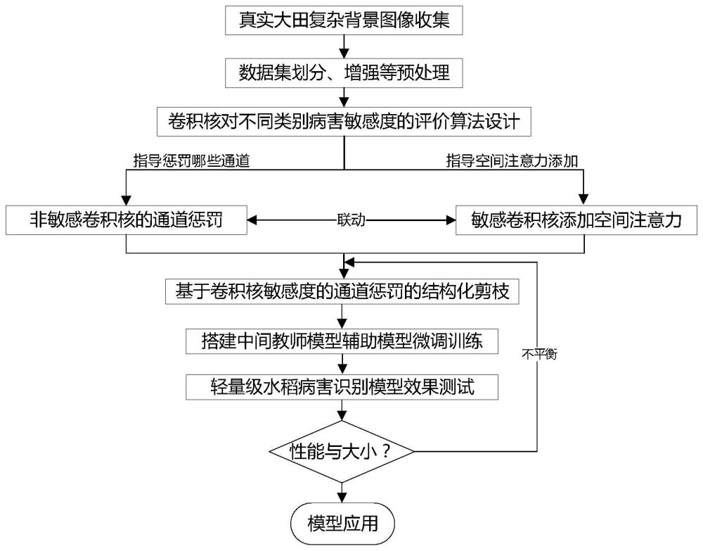 复杂背景下基于敏感度的轻量级水稻病害识别方法及系统