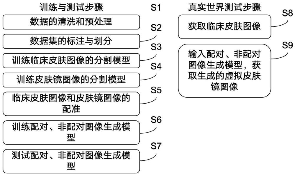 一种虚拟皮肤镜图像生成方法及系统