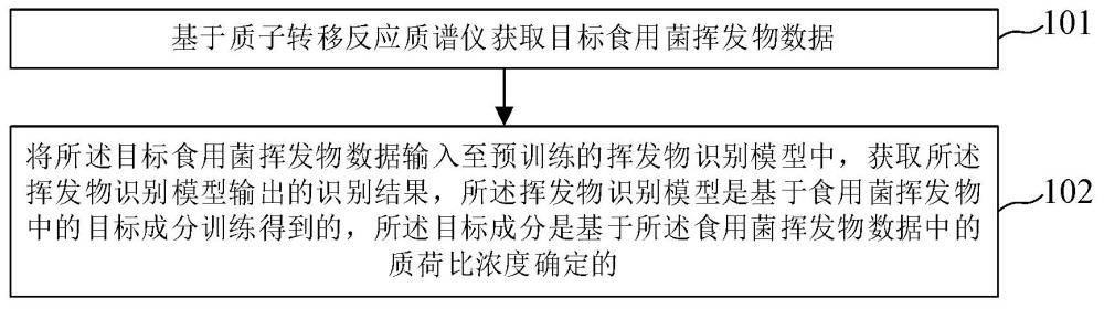 基于挥发物的食用菌病害识别方法、装置及存储介质