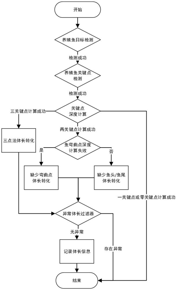 一种基于关键点和双目立体视觉估算养殖鱼类长度的方法