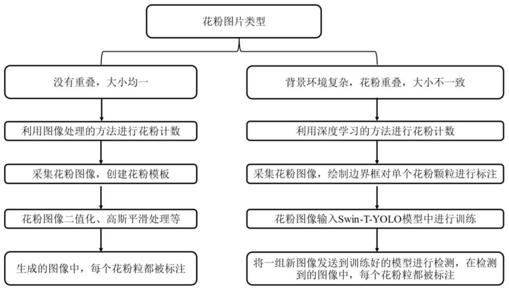 一种基于图像处理和深度学习的花粉定量方法及系统