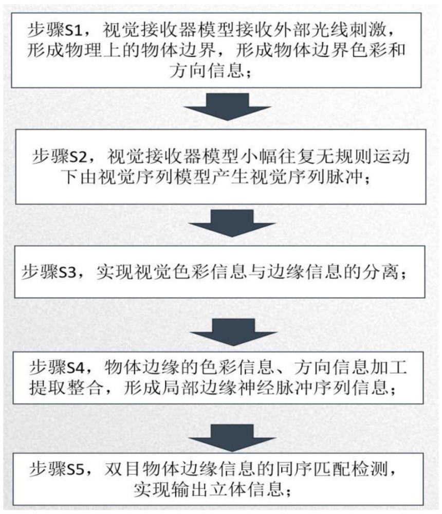 一种双目视觉深度计算系统及类脑计算模型的制作方法