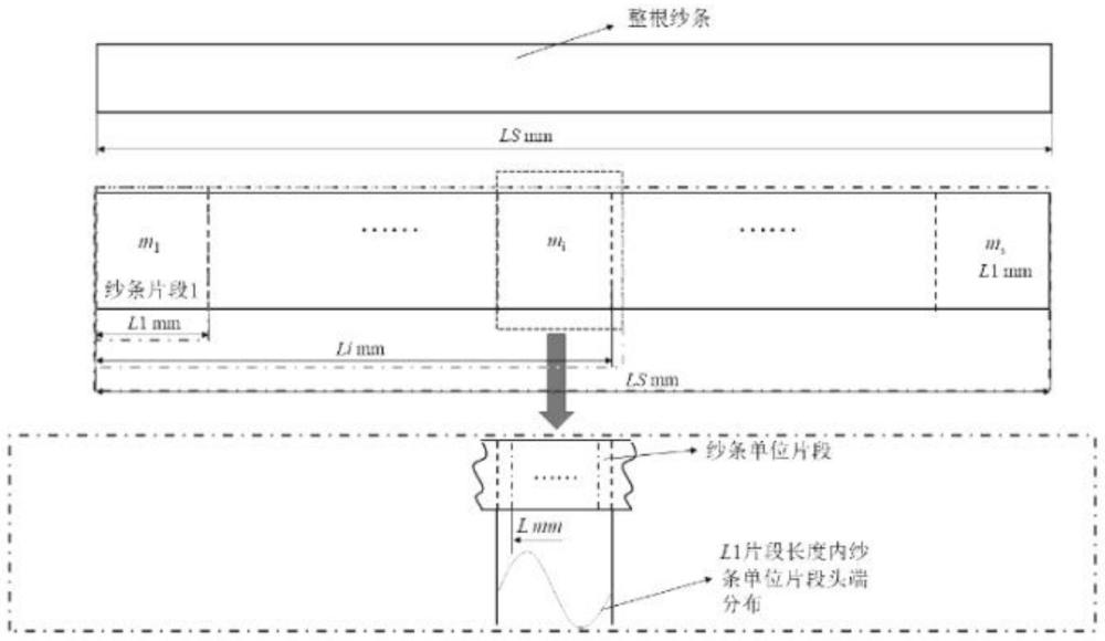 纤维在非均匀结构纱条中排列的模拟方法