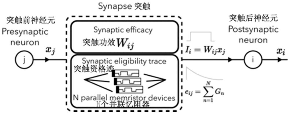 基于动态忆阻器的权重资格迹更新方法和神经网络芯片