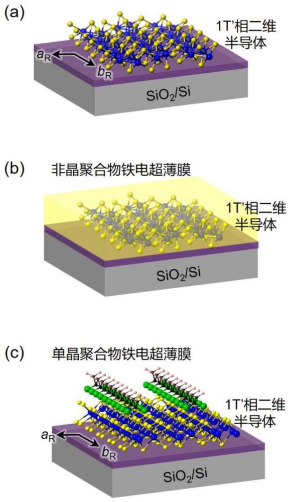 一种基于1T’相二维半导体界面的聚合物铁电超薄膜外延生长方法