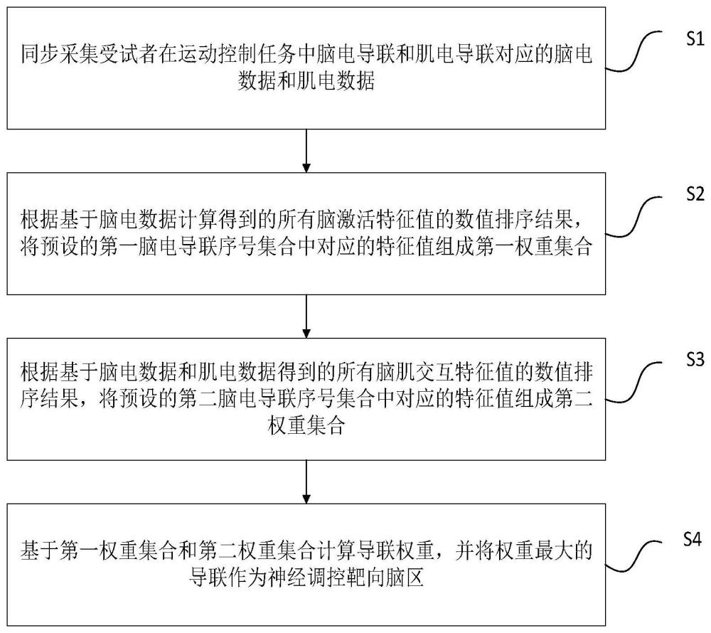 一种基于脑肌交互信息解码的神经调控靶点选择方法