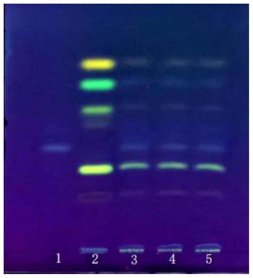 一种治疗妇科盆腔炎的中药组合物及其灌肠剂与应用的制作方法