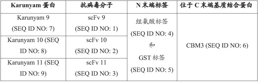 固定在基质中的抗病毒分子的制作方法