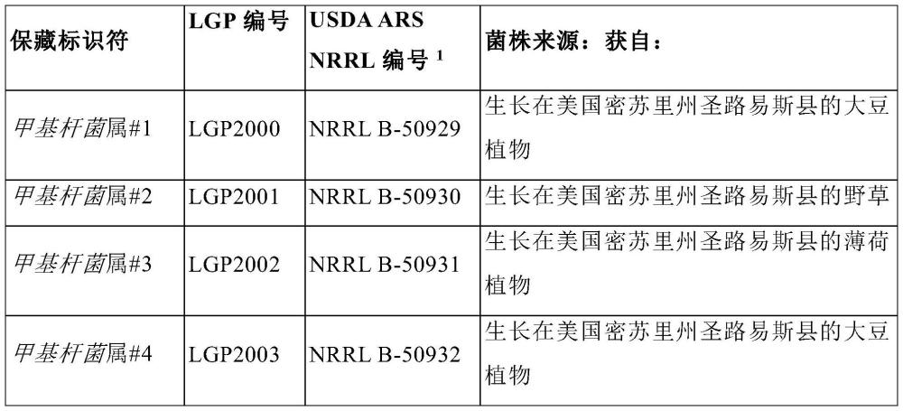 甲基杆菌菌株以及用于增强植物生产的方法与流程