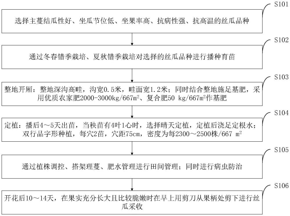 一种丝瓜、水稻、大球盖菇一年三季菜稻菌高效栽培方法与流程