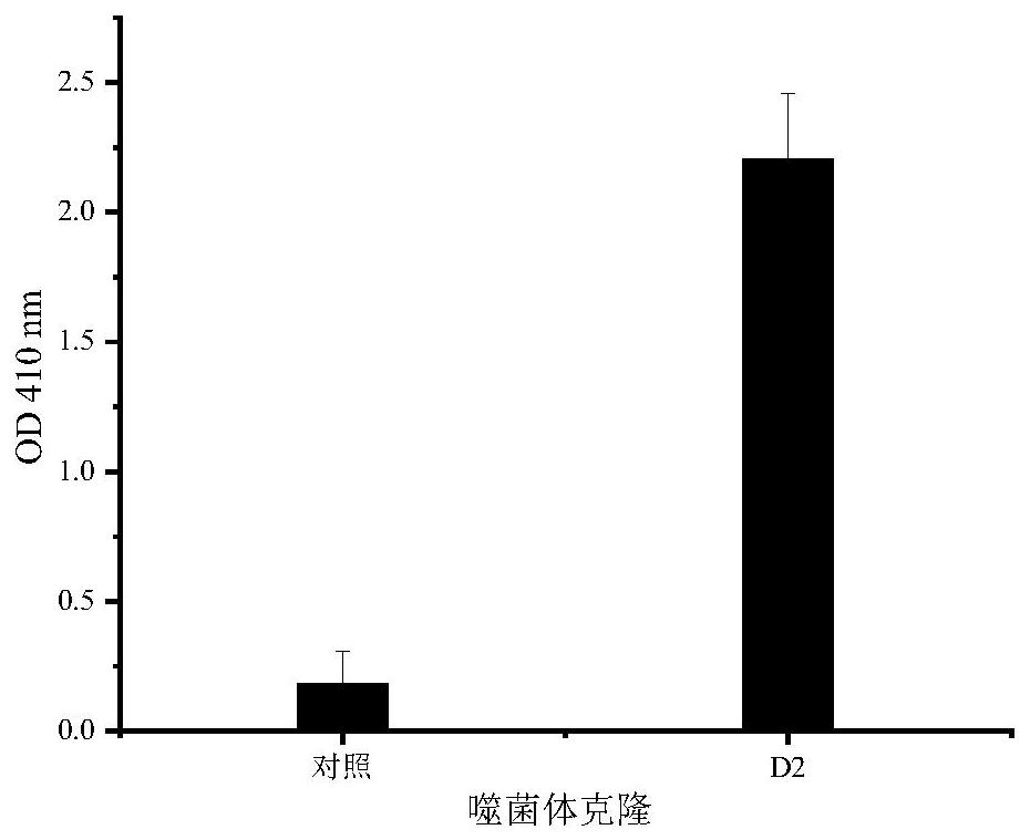 一种抗双链DNA抗体特异性结合的短肽及应用