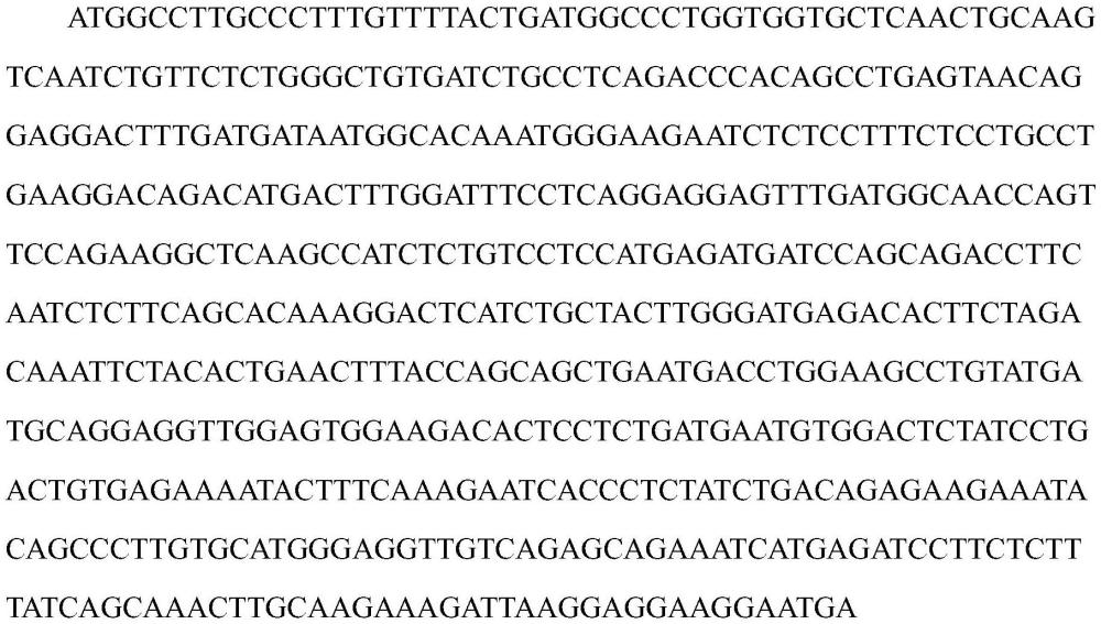 一种干扰素腺病毒纳米囊泡及其作为载药递送系统的应用