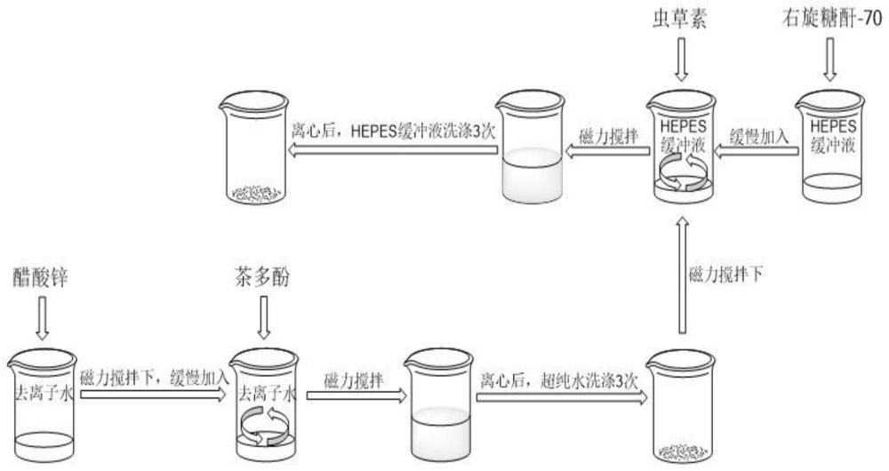 一种pH响应型靶向递送虫草素的茶多酚纳米缓释制剂及其制备方法