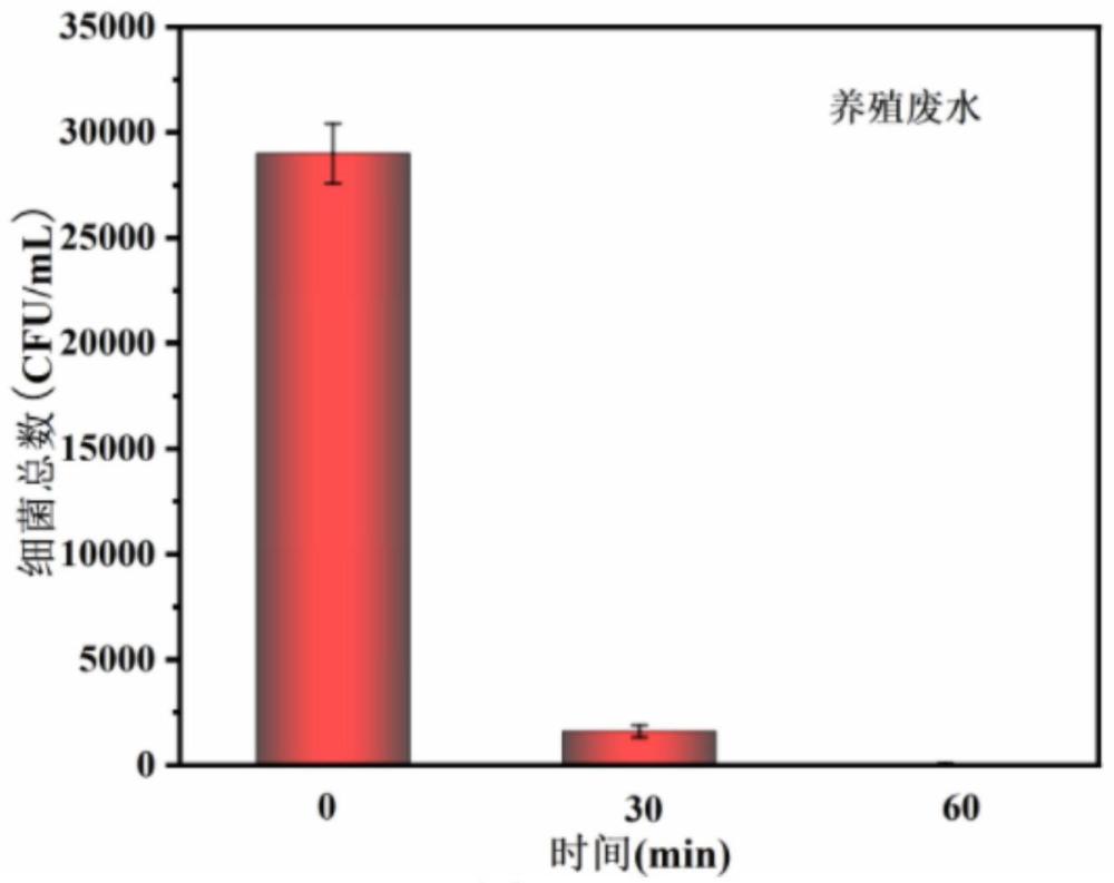 一种复合电极的制备及其在耦合介质阻挡等离子体放电处理废水中的应用