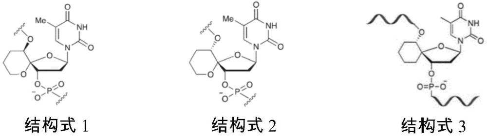 新人工核酸、其制造方法和用途与流程