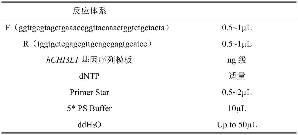 一种人源壳多糖酶3样蛋白1单克隆抗体及其制备方法和应用