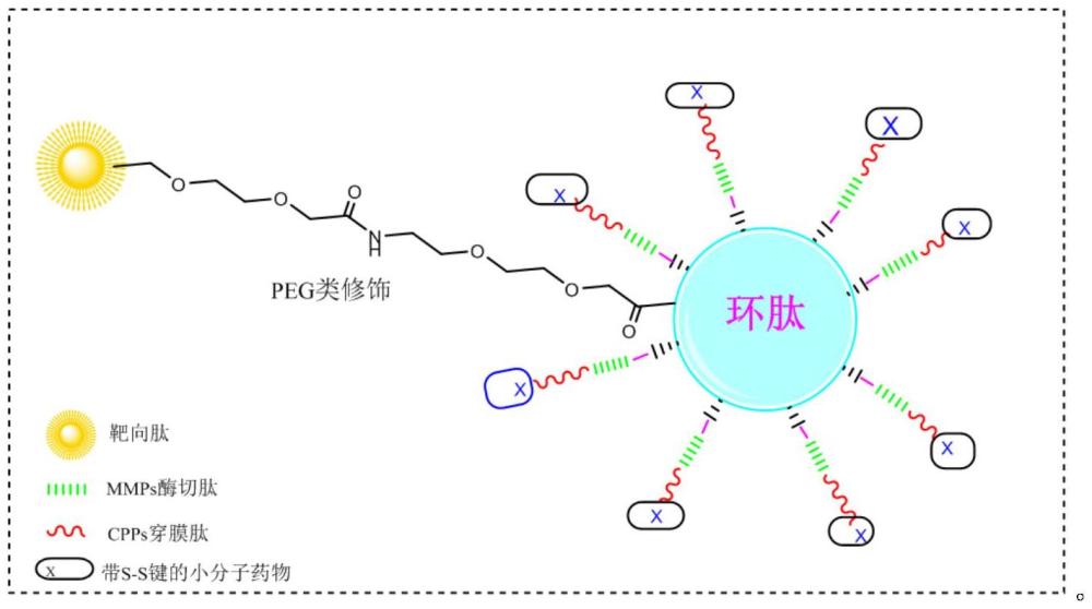 新型多功能纳米药物载体材料及其制备方法与应用